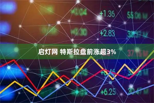 启灯网 特斯拉盘前涨超3%