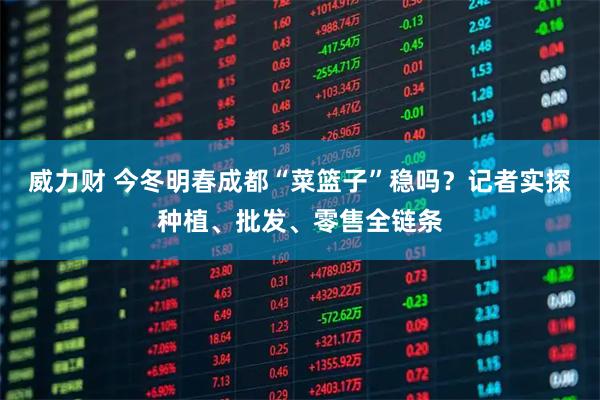 威力财 今冬明春成都“菜篮子”稳吗？记者实探种植、批发、零售全链条