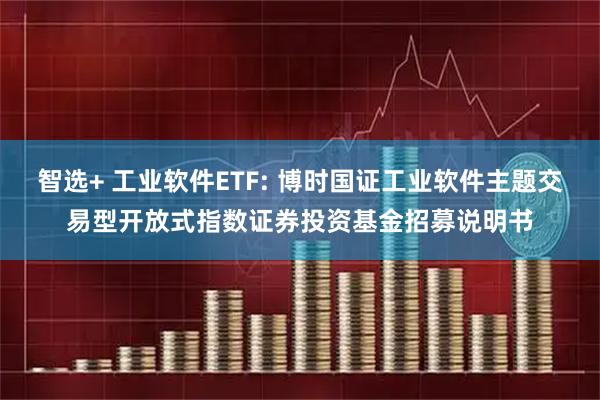 智选+ 工业软件ETF: 博时国证工业软件主题交易型开放式指数证券投资基金招募说明书